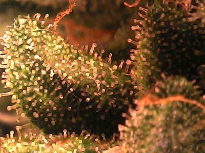 photo_2023-11-24_22-17-37.jpg photo_2023-11-24_22-17-37.jpg