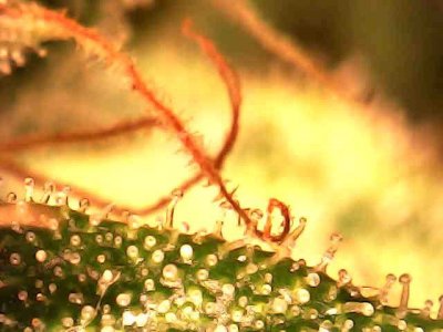 photo_2023-11-24_22-17-23.jpg photo_2023-11-24_22-17-23.jpg