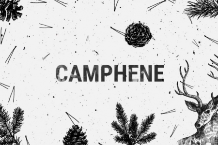 1701104423217.png 1701104423217.png