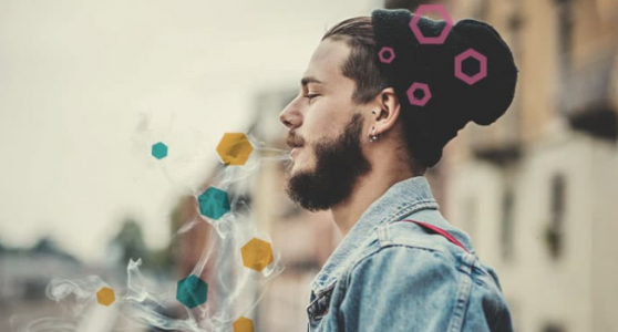 1651757303787.png 1651757303787.png