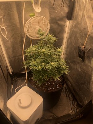 IMG_3908.JPG IMG_3908.JPG