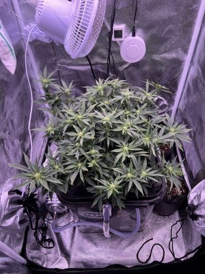 IMG_3815.jpeg IMG_3815.jpeg