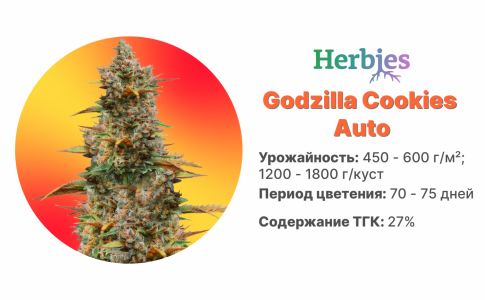 Godzilla-Cookies-Auto Godzilla-Cookies-Auto