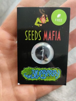 IMG_20231212_141220.jpg IMG_20231212_141220.jpg