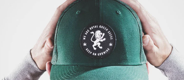 1702664182879.png 1702664182879.png