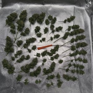 IMG_E7526.JPG IMG_E7526.JPG