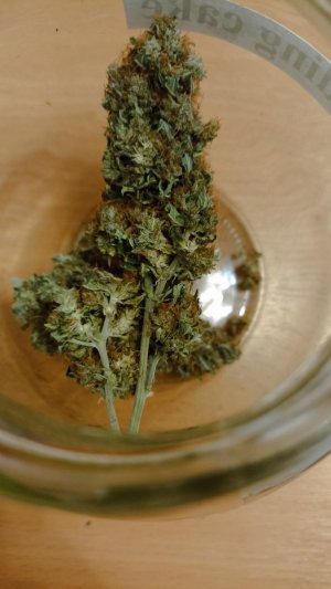 IMG_20231218_215411.jpg IMG_20231218_215411.jpg