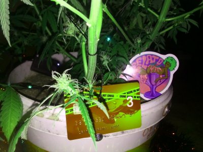 IMG_20231220_120032.jpg IMG_20231220_120032.jpg