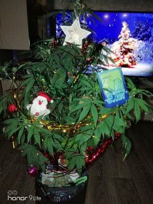 IMG_20231223_084646.jpg IMG_20231223_084646.jpg