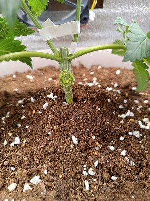 IMG_2023_12_25_22_21_05_9909207131181958062024.jpg IMG_2023_12_25_22_21_05_9909207131181958062024.jpg