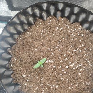 IMG20231227105141.jpg IMG20231227105141.jpg