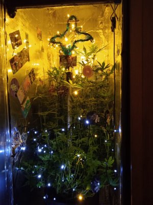 17036876679737954700613959470177.jpg 17036876679737954700613959470177.jpg