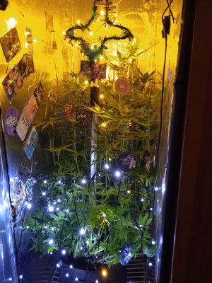 17036878005882194949145560921660.jpg 17036878005882194949145560921660.jpg