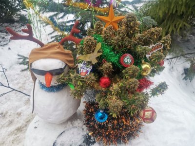 IMG_20231230_132010.jpg IMG_20231230_132010.jpg