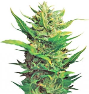 think different.jpg think different.jpg