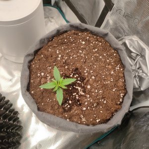 IMG20240105110405.jpg IMG20240105110405.jpg