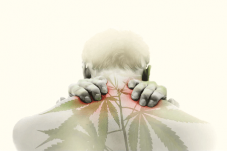 Конопля и массаж Конопля и массаж