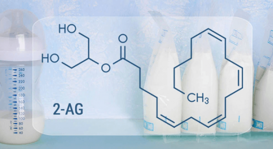Эндоканнабиноиды в молоке Эндоканнабиноиды в молоке