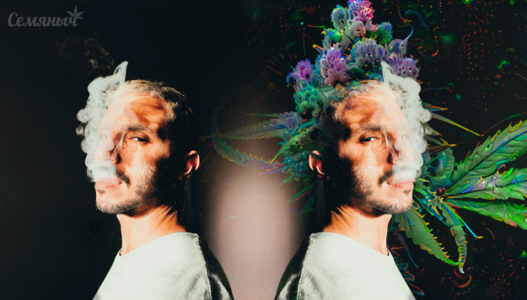 Факторы, влияющие на характер и силу эффекта конопли