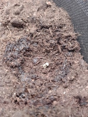 IMG_20240111_123857.jpg IMG_20240111_123857.jpg