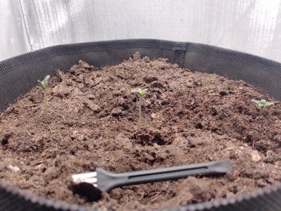 IMG_20240114_093029.jpg IMG_20240114_093029.jpg