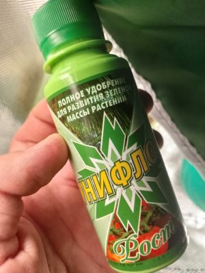 IMG_20240121_041948.jpg IMG_20240121_041948.jpg