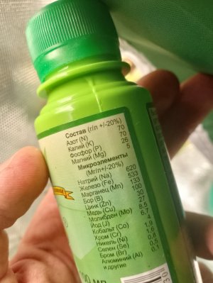 IMG_20240121_041942.jpg IMG_20240121_041942.jpg