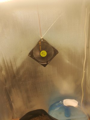 IMG_20240121_092652.jpg IMG_20240121_092652.jpg