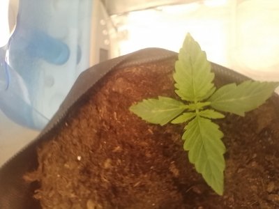 IMG_20240121_092723.jpg IMG_20240121_092723.jpg