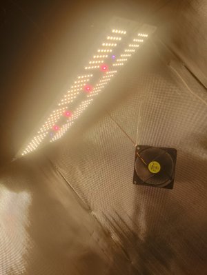 IMG_20240121_092657.jpg IMG_20240121_092657.jpg