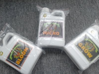 IMG_20240121_130149.jpg IMG_20240121_130149.jpg