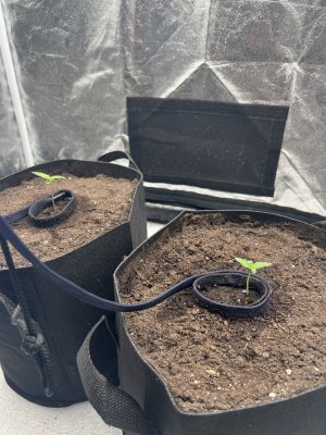 IMG_7828.jpeg IMG_7828.jpeg