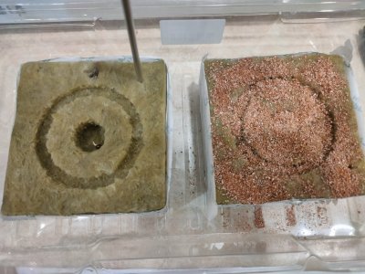 IMG20231217112309.jpg IMG20231217112309.jpg