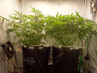 Image00041.jpg Image00041.jpg