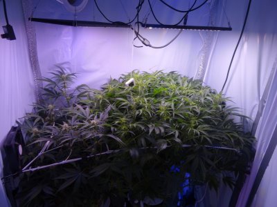 Image00059.jpg Image00059.jpg