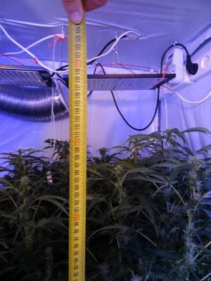 Image00089.jpg Image00089.jpg