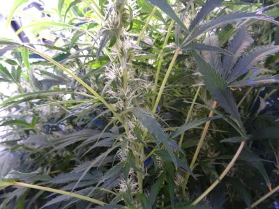 Image00103.jpg Image00103.jpg