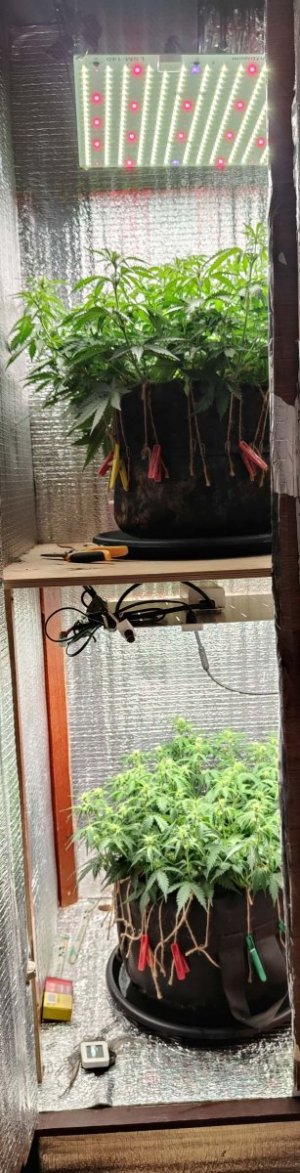 Общий план.jpg