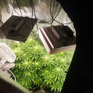 sssssss222222.jpg sssssss222222.jpg