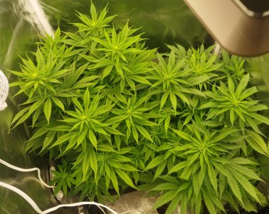 ssssssssssssss.jpg ssssssssssssss.jpg