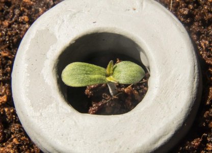 IMG_20240212_125910.jpg IMG_20240212_125910.jpg