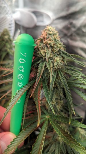 1708022559989.jpeg 1708022559989.jpeg