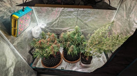 1708022730444.jpeg 1708022730444.jpeg