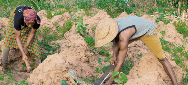 1708619985696.png 1708619985696.png