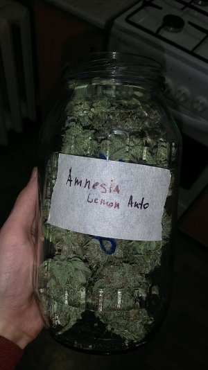 IMG_20220202_162401_090.jpg IMG_20220202_162401_090.jpg