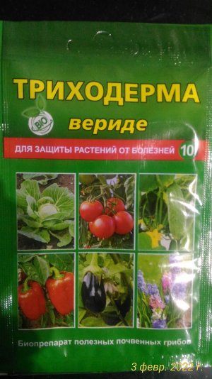 P_20220203_234605_1_p.jpg P_20220203_234605_1_p.jpg