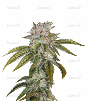 1643995691194.png 1643995691194.png