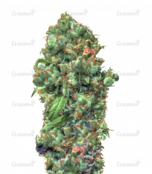 1644231110012.png 1644231110012.png