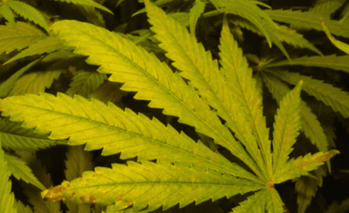 1644331821305.png 1644331821305.png