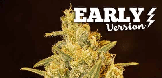 1644353841088.png 1644353841088.png